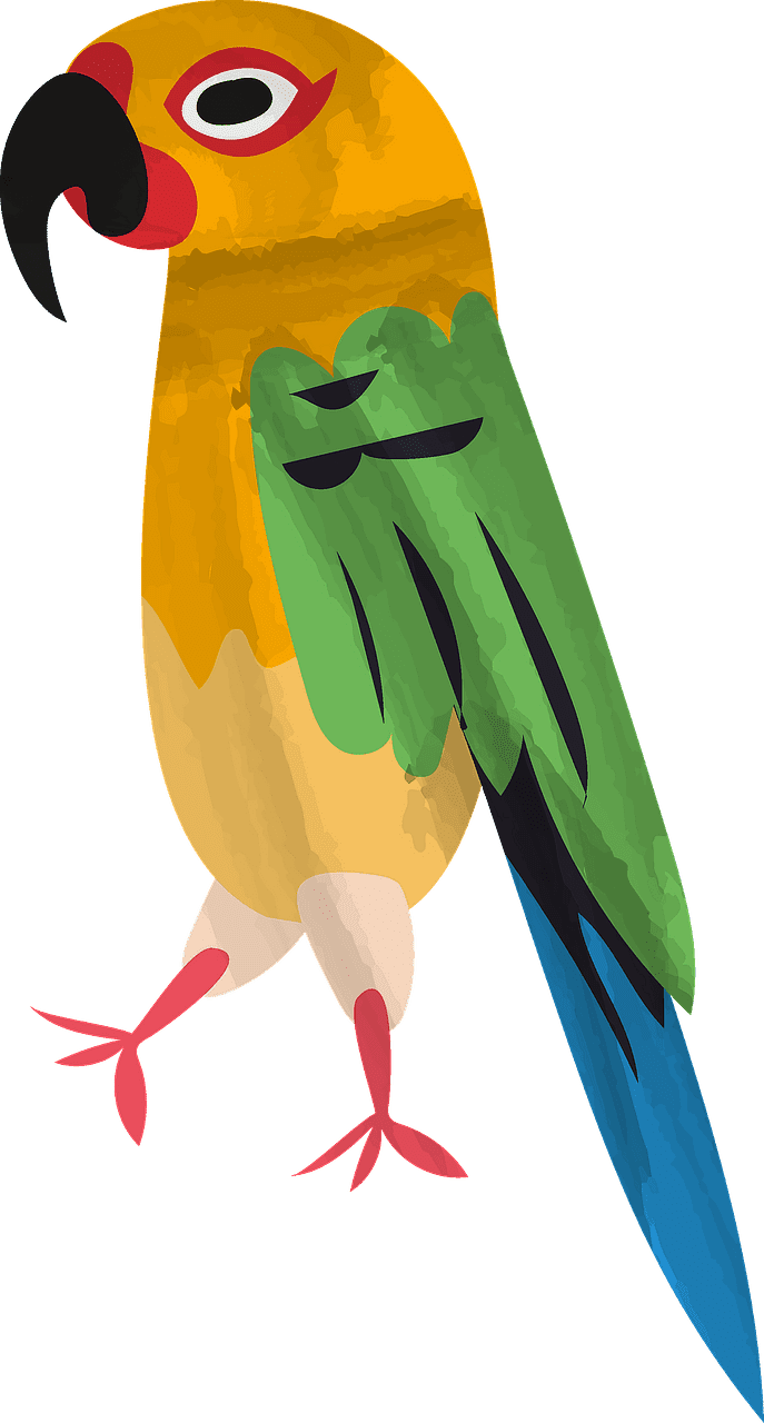 Free Parrot clipart transparent for kids