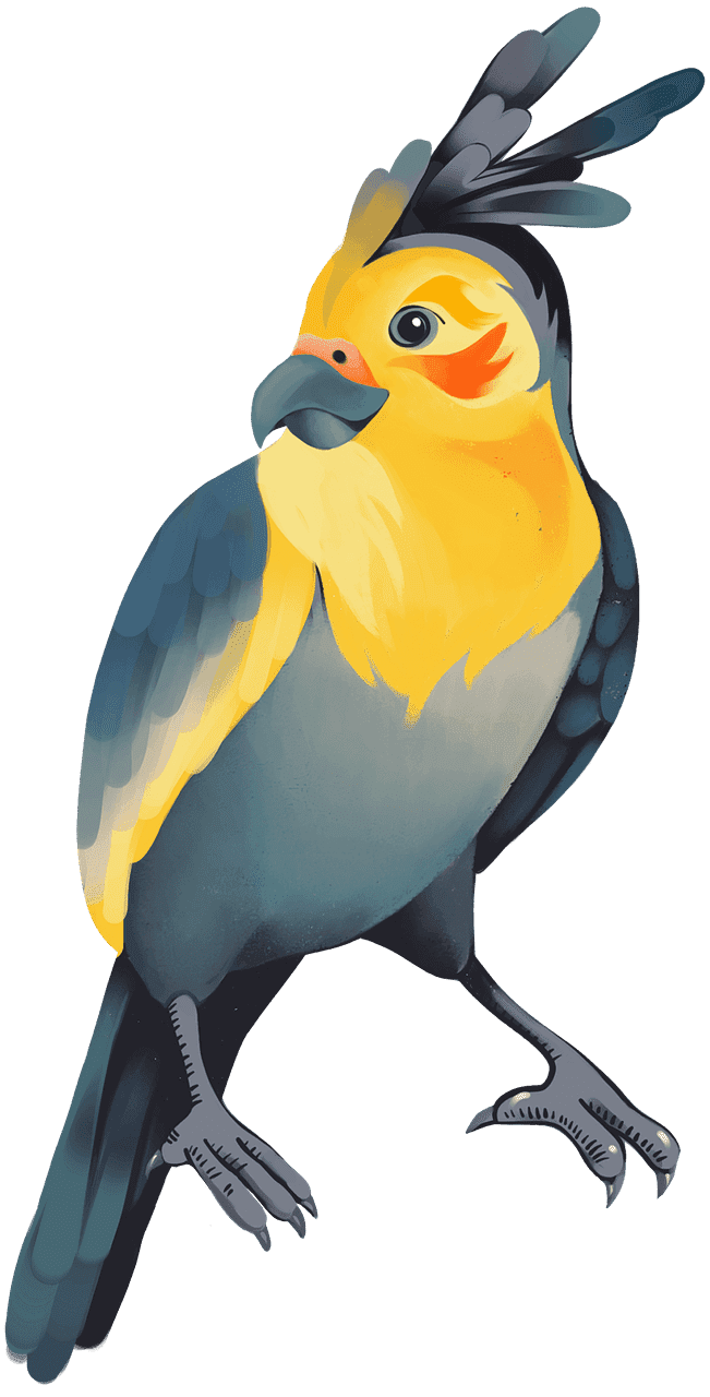 Free Parrot clipart transparent