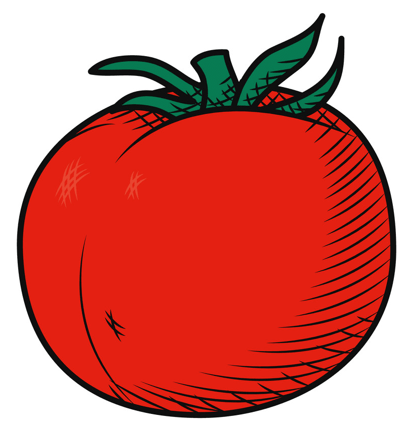 Free Tomato clipart png
