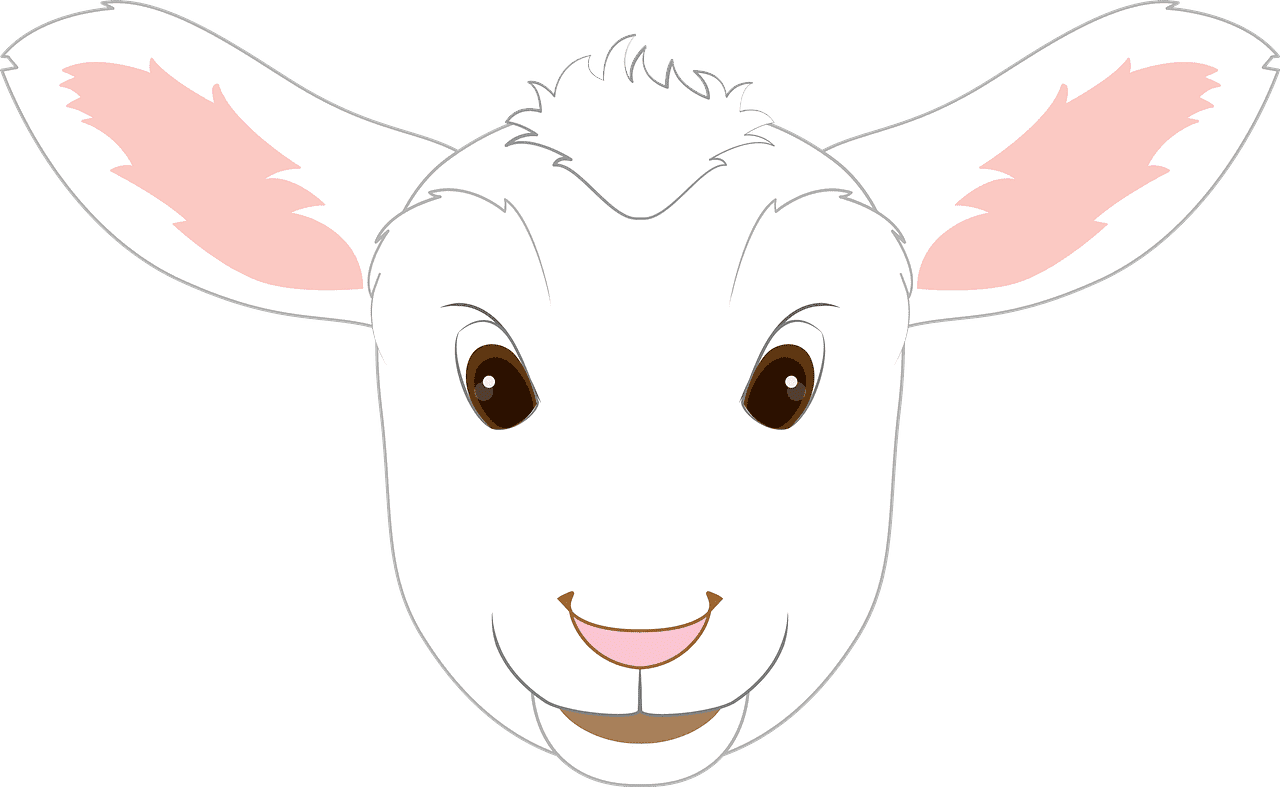 Lamb Face clipart transparent