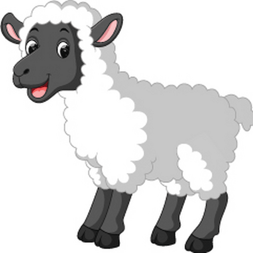 Lamb clipart for free