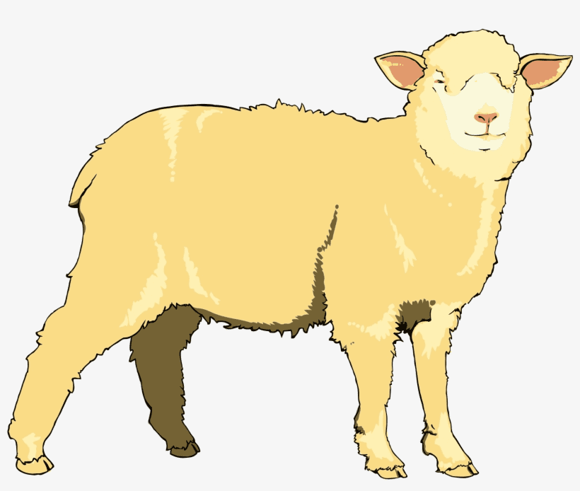 Lamb clipart free 10