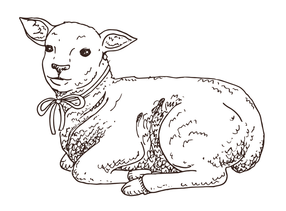 Lamb clipart free for kids