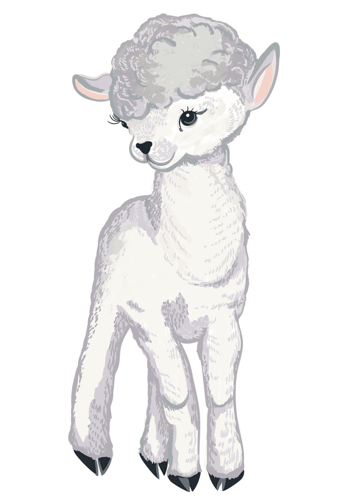 Lamb clipart free picture