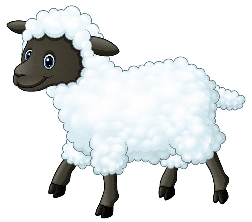 Lamb clipart image