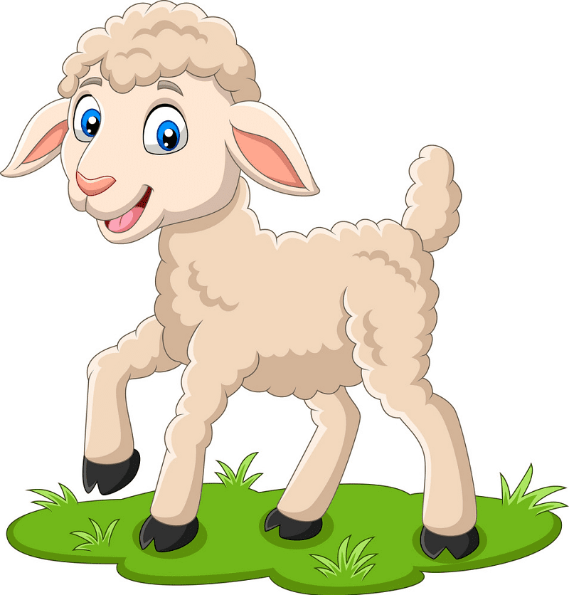 Lamb clipart picture