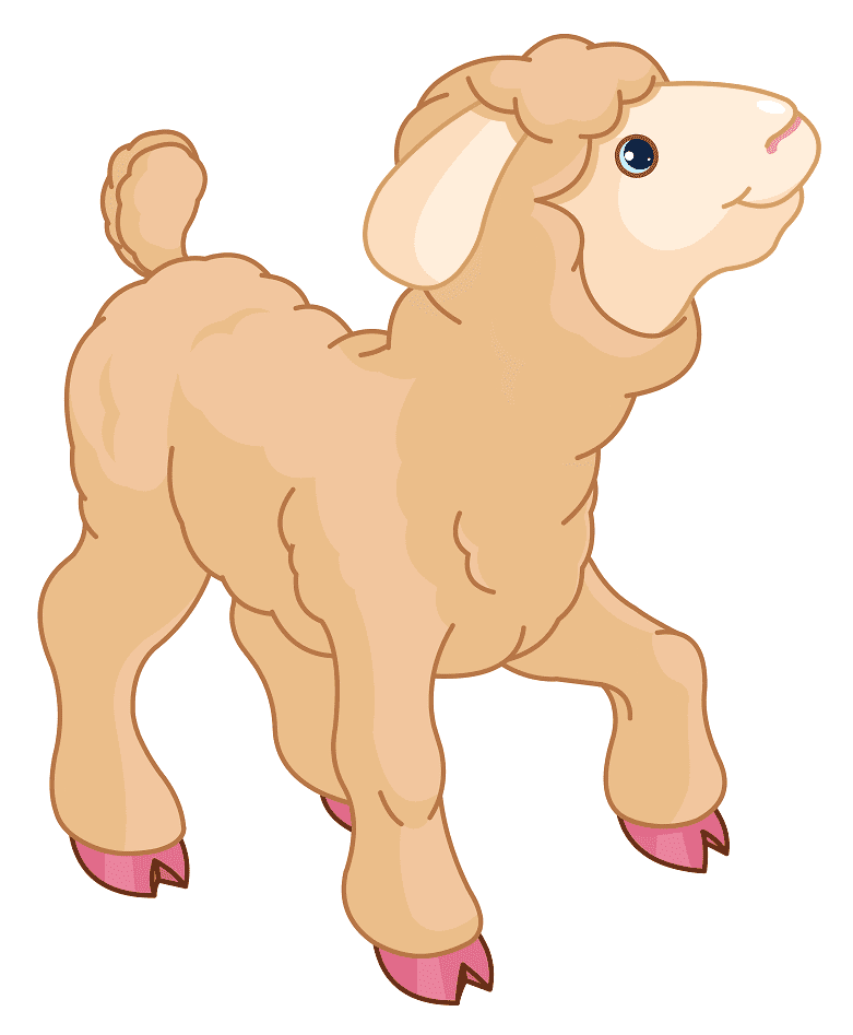 Lamb clipart png 1