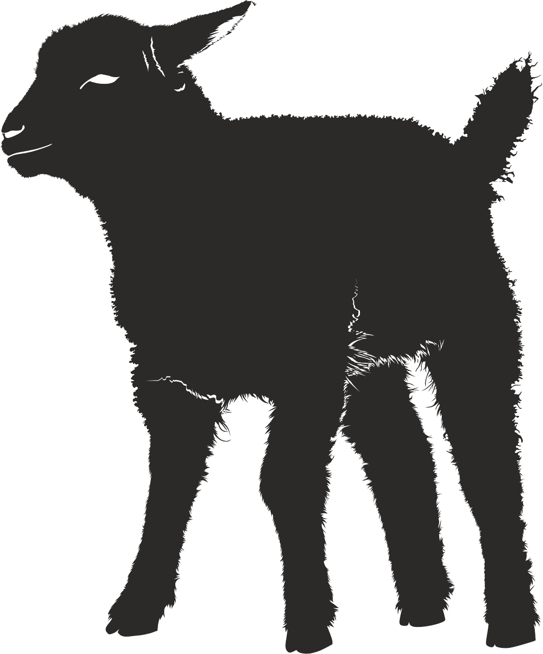 Lamb clipart transparent 2