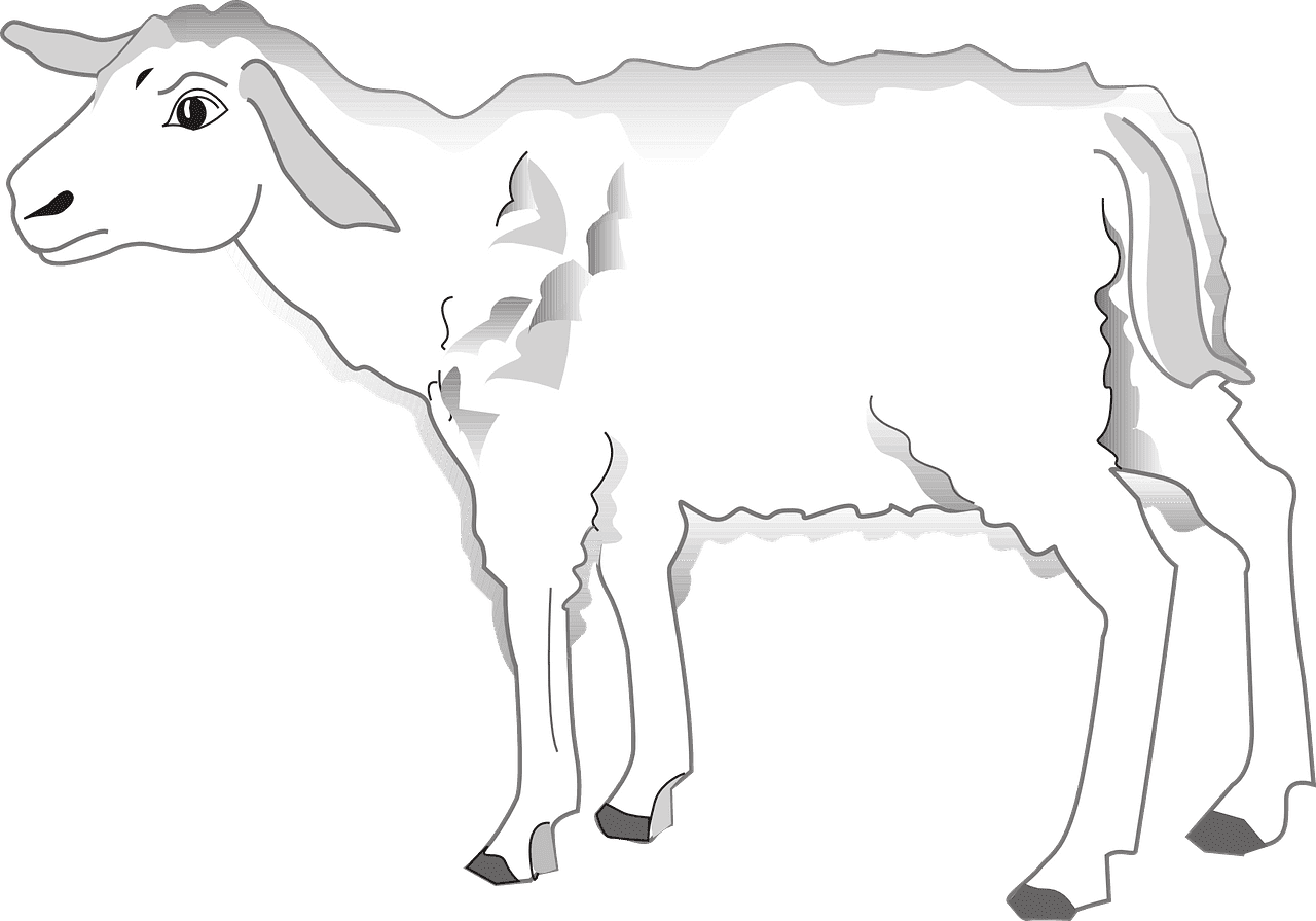 Lamb clipart transparent 3