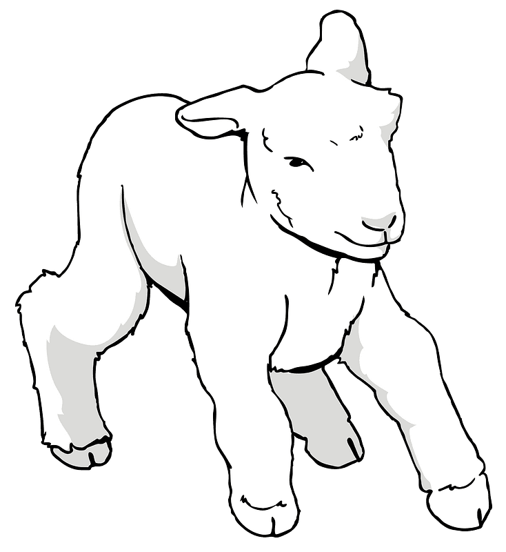 Lamb clipart transparent 5