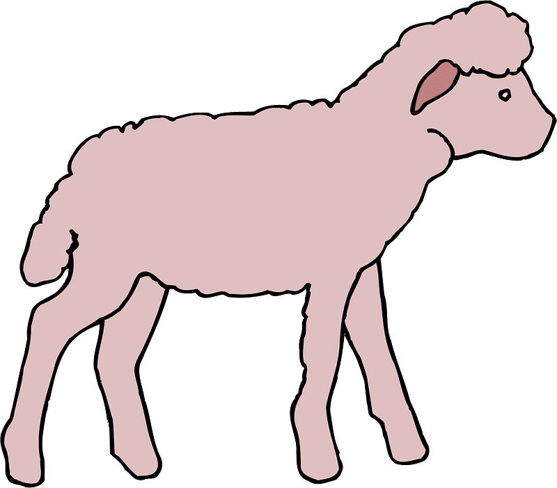 Lamb clipart transparent background 5