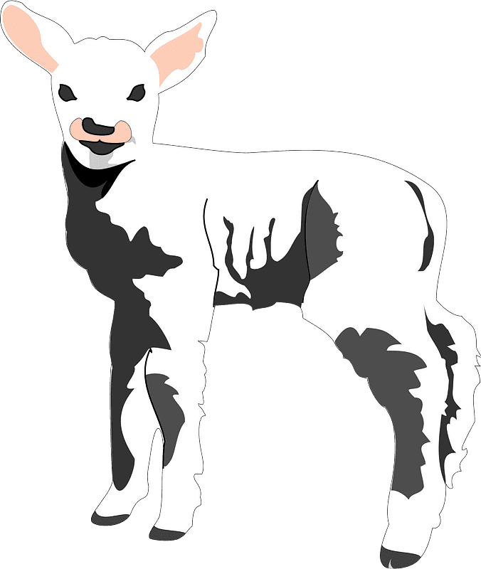 Lamb clipart transparent background 8