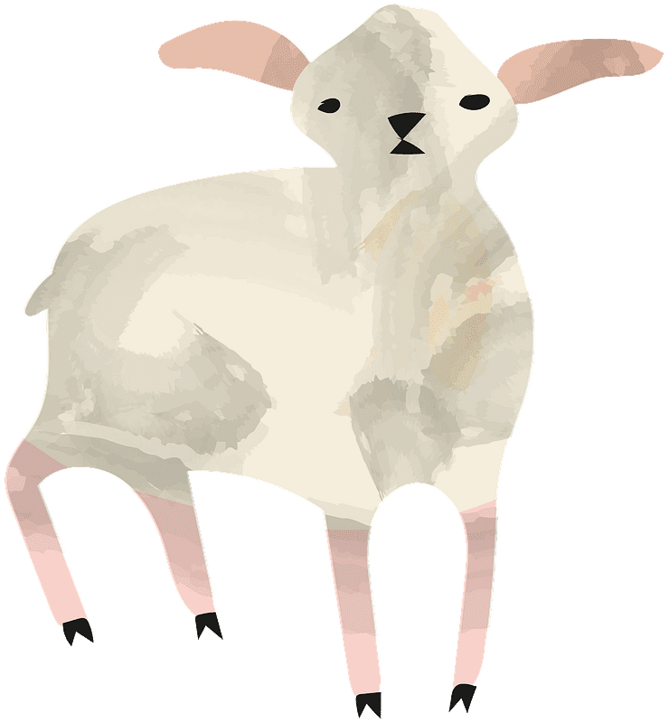 Lamb clipart transparent download