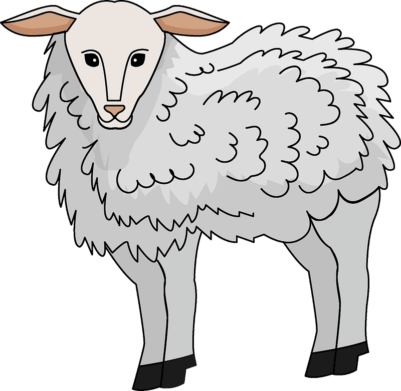 Lamb clipart transparent free