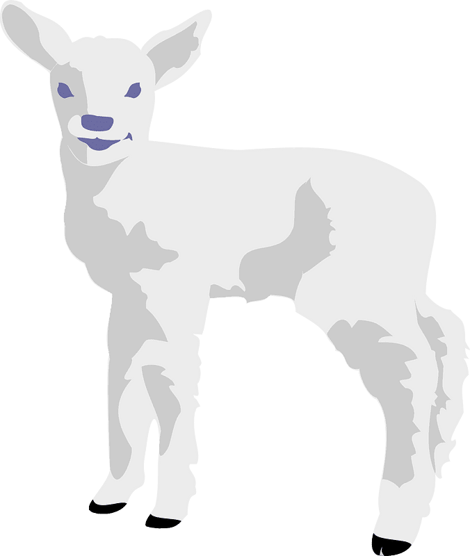 Lamb clipart transparent images