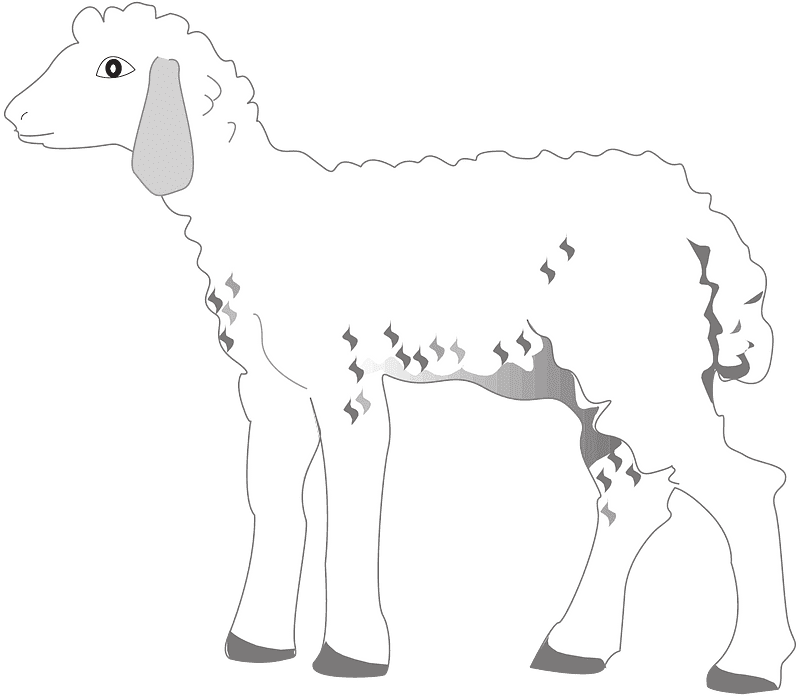 Lamb clipart transparent png