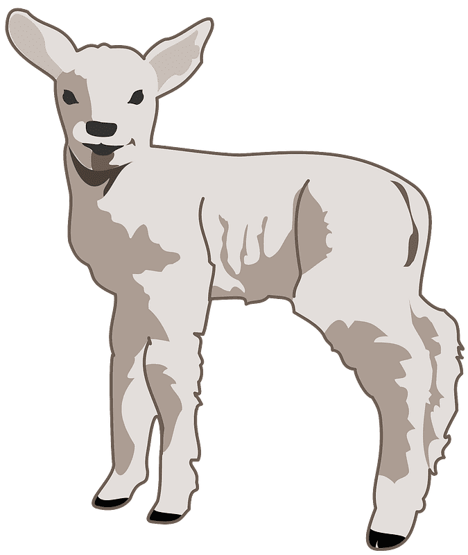 Lamb clipart transparent