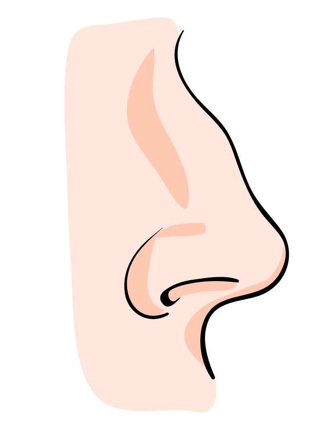 Nose clipart download