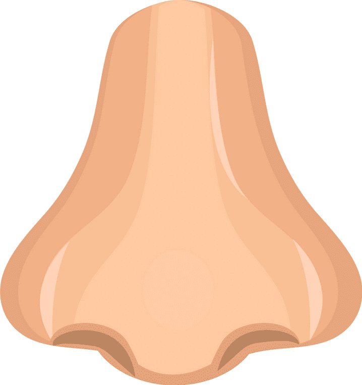 Nose clipart free download
