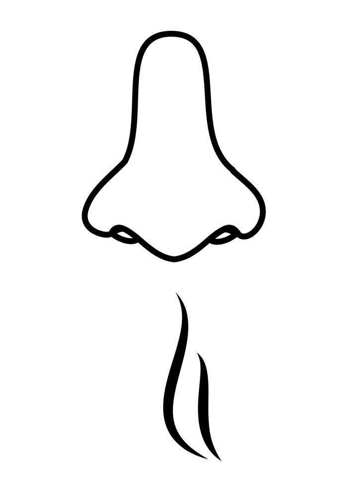 Nose clipart free image