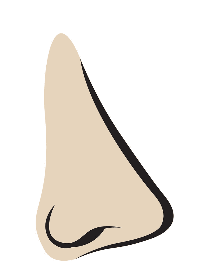 Nose clipart png 10