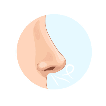 Nose clipart png 4