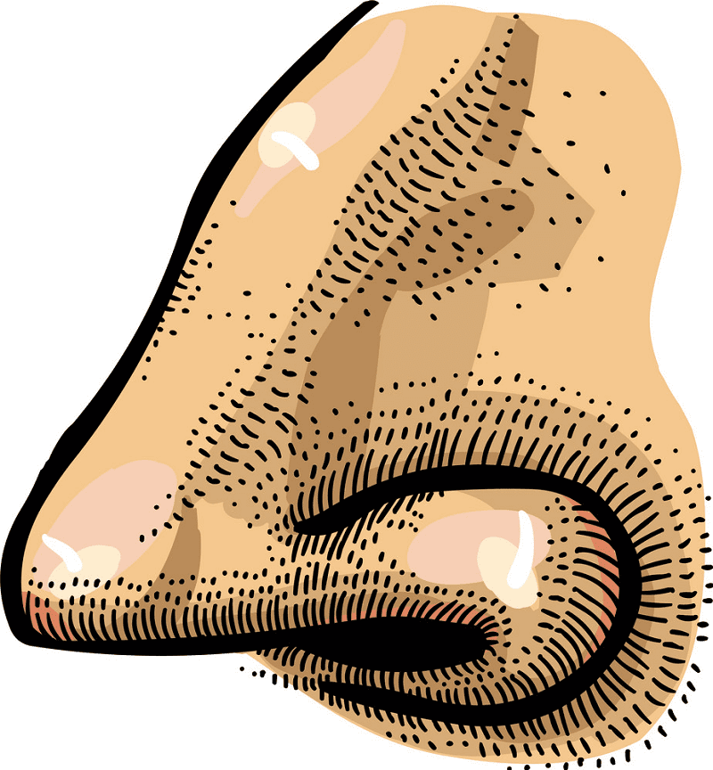 Nose clipart png 6
