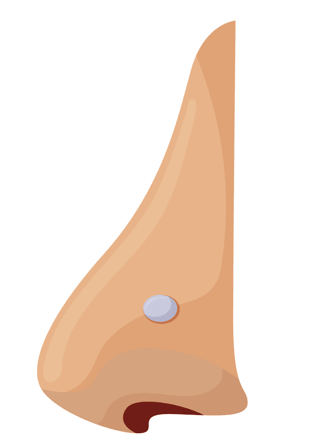Nose clipart png 9