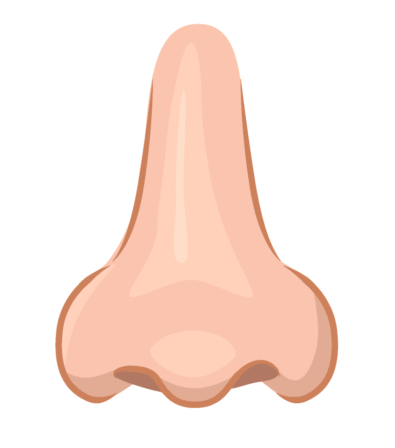 Nose clipart png image