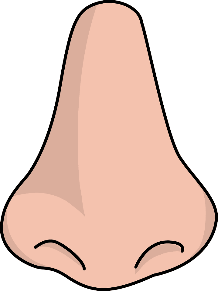 Nose clipart png images