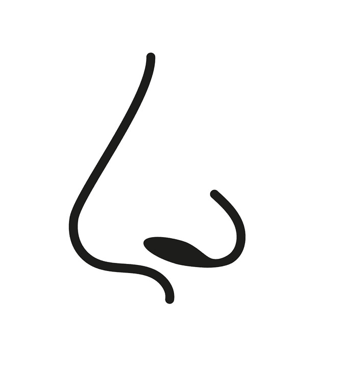 Nose clipart png picture