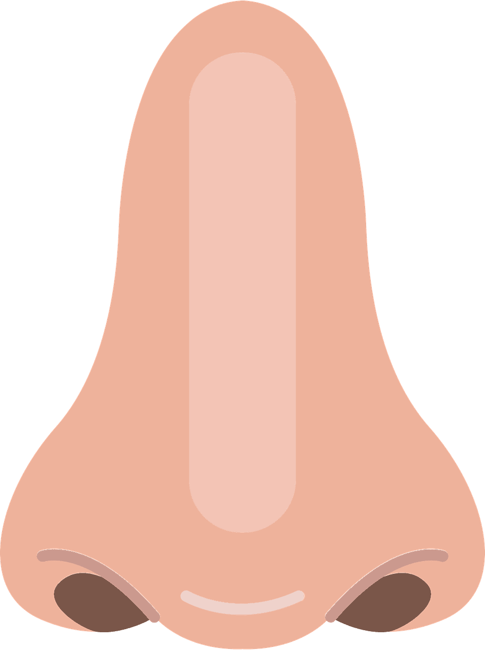 Nose clipart transparent images