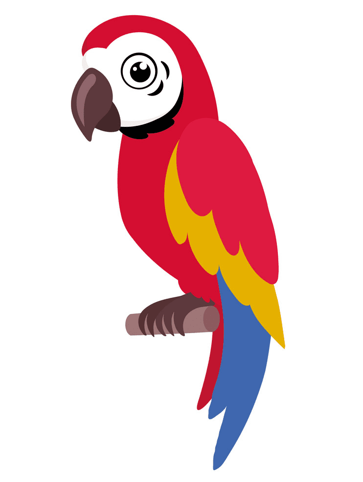 Parrot clipart 1