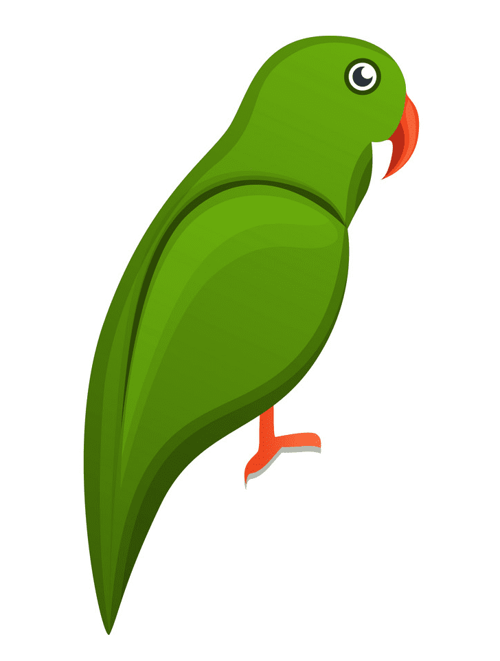 Parrot clipart 2
