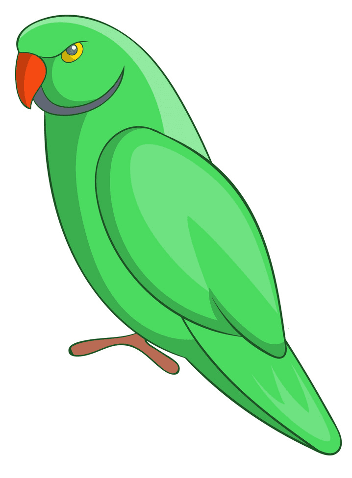 Parrot clipart 4