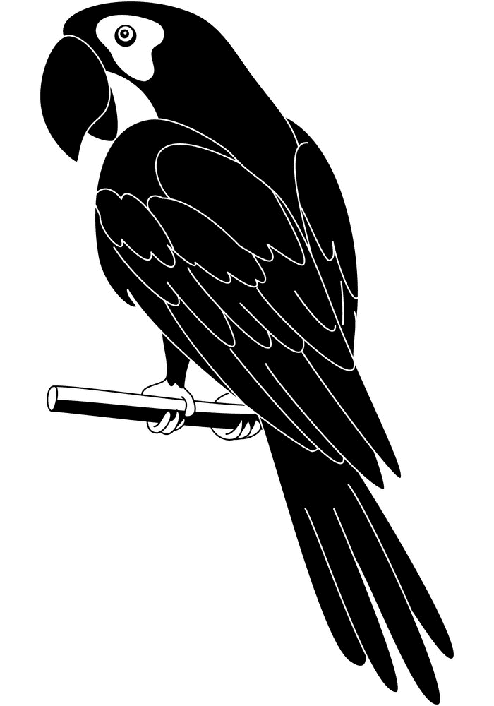 Parrot clipart Black and White free