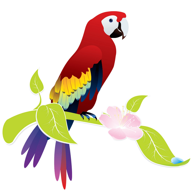 Parrot clipart for kids