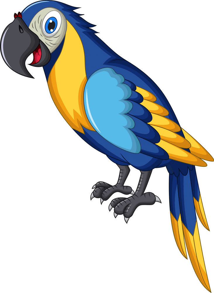 Parrot clipart free for kid