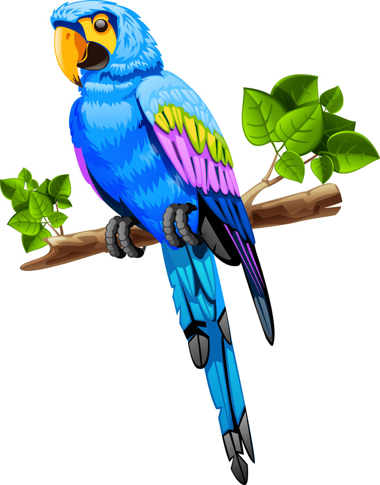 Parrot clipart free for kids