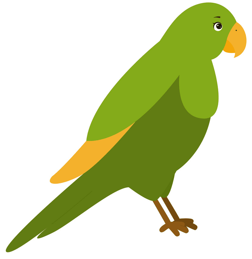 Parrot clipart free picture