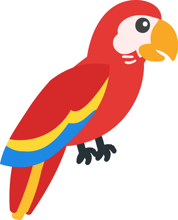 Parrot clipart png download