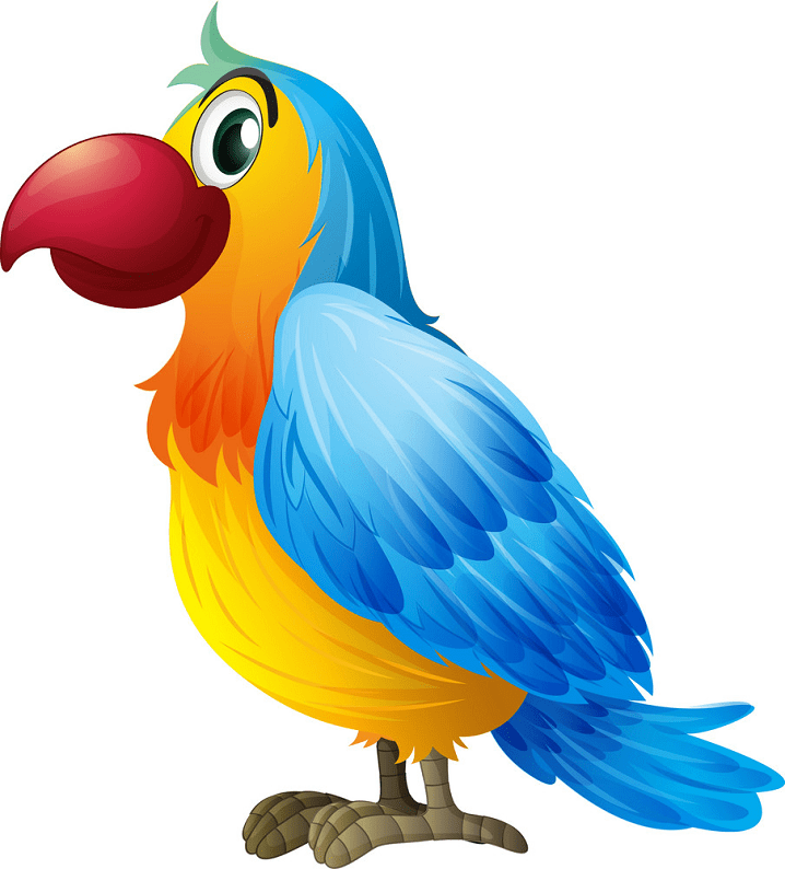 Parrot clipart png for kid