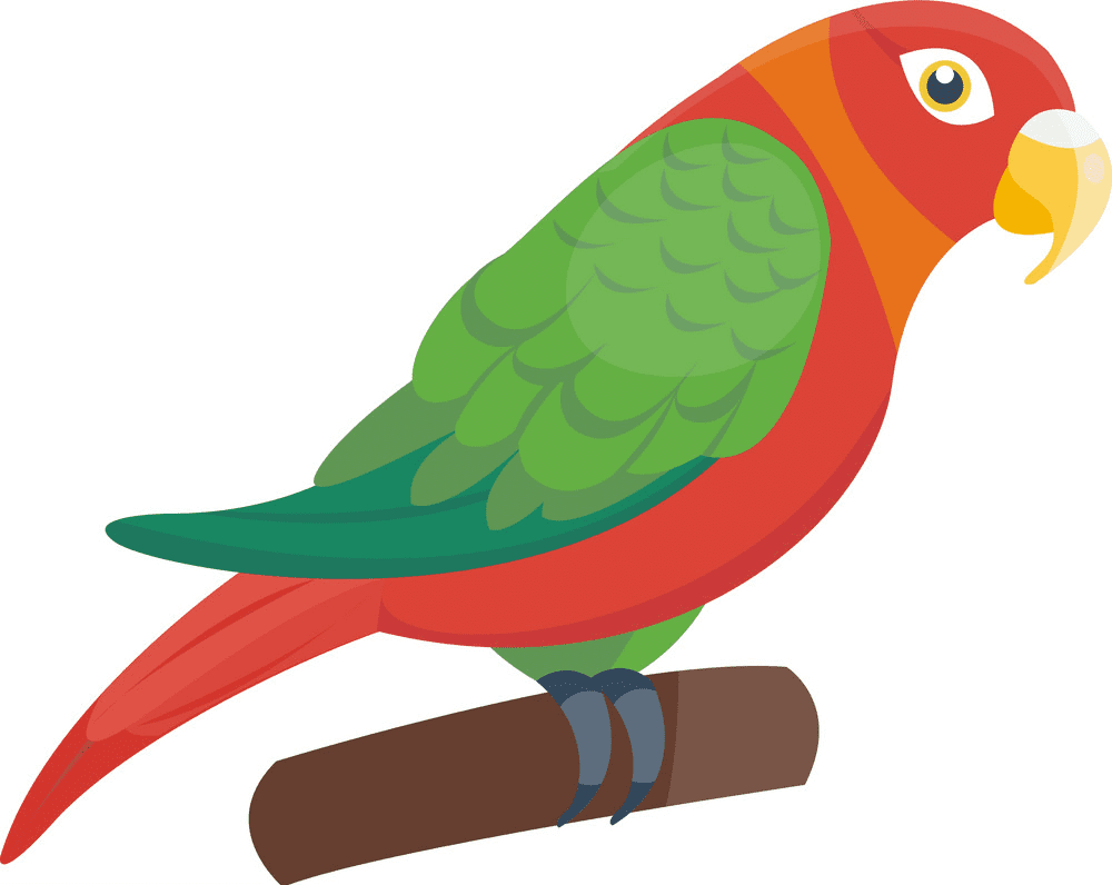 Parrot clipart png for kids