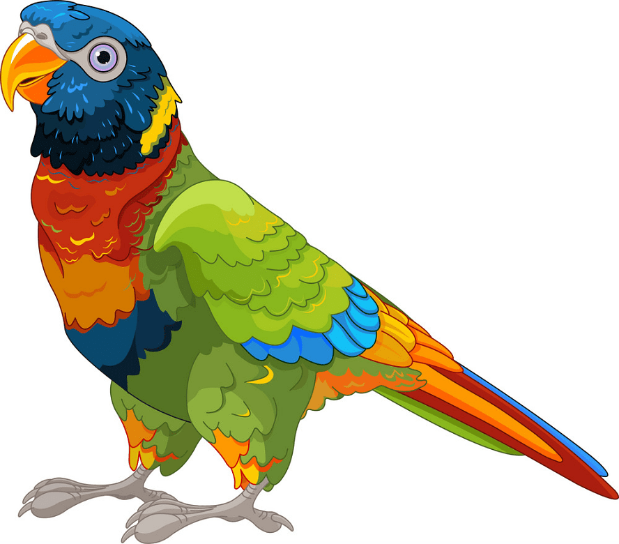Parrot clipart png free