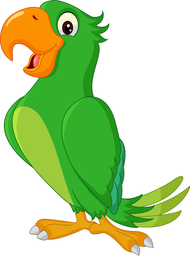 Parrot clipart png