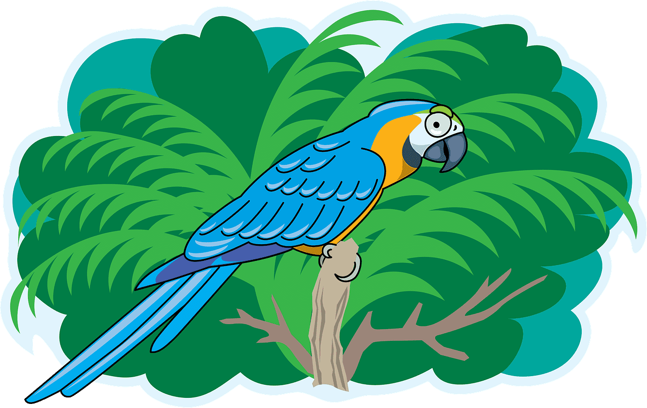 Parrot clipart transparent 4