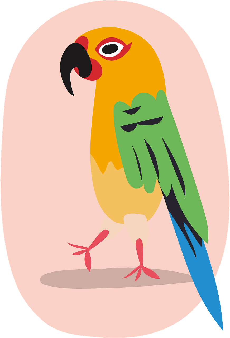 Parrot clipart transparent 5