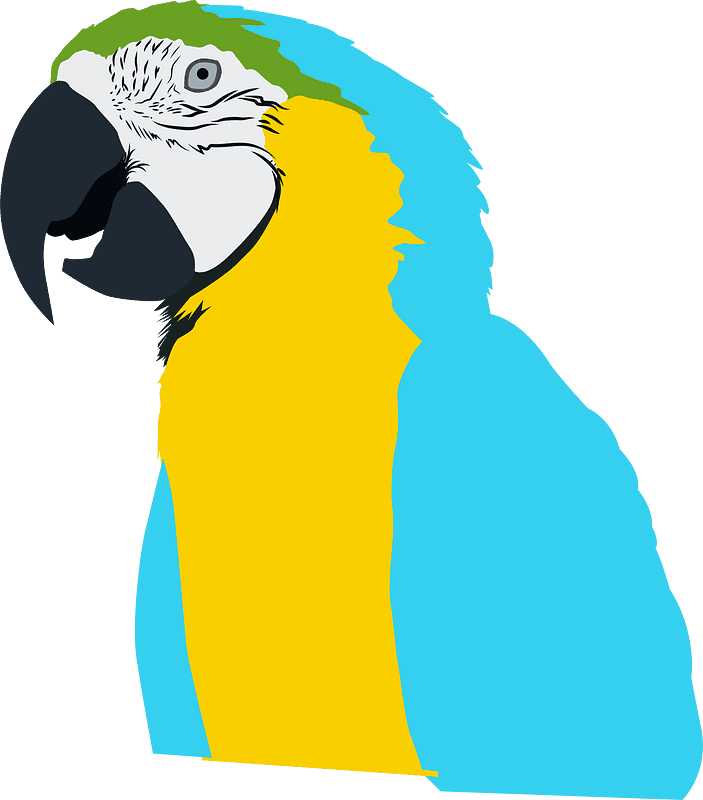 Parrot clipart transparent 7