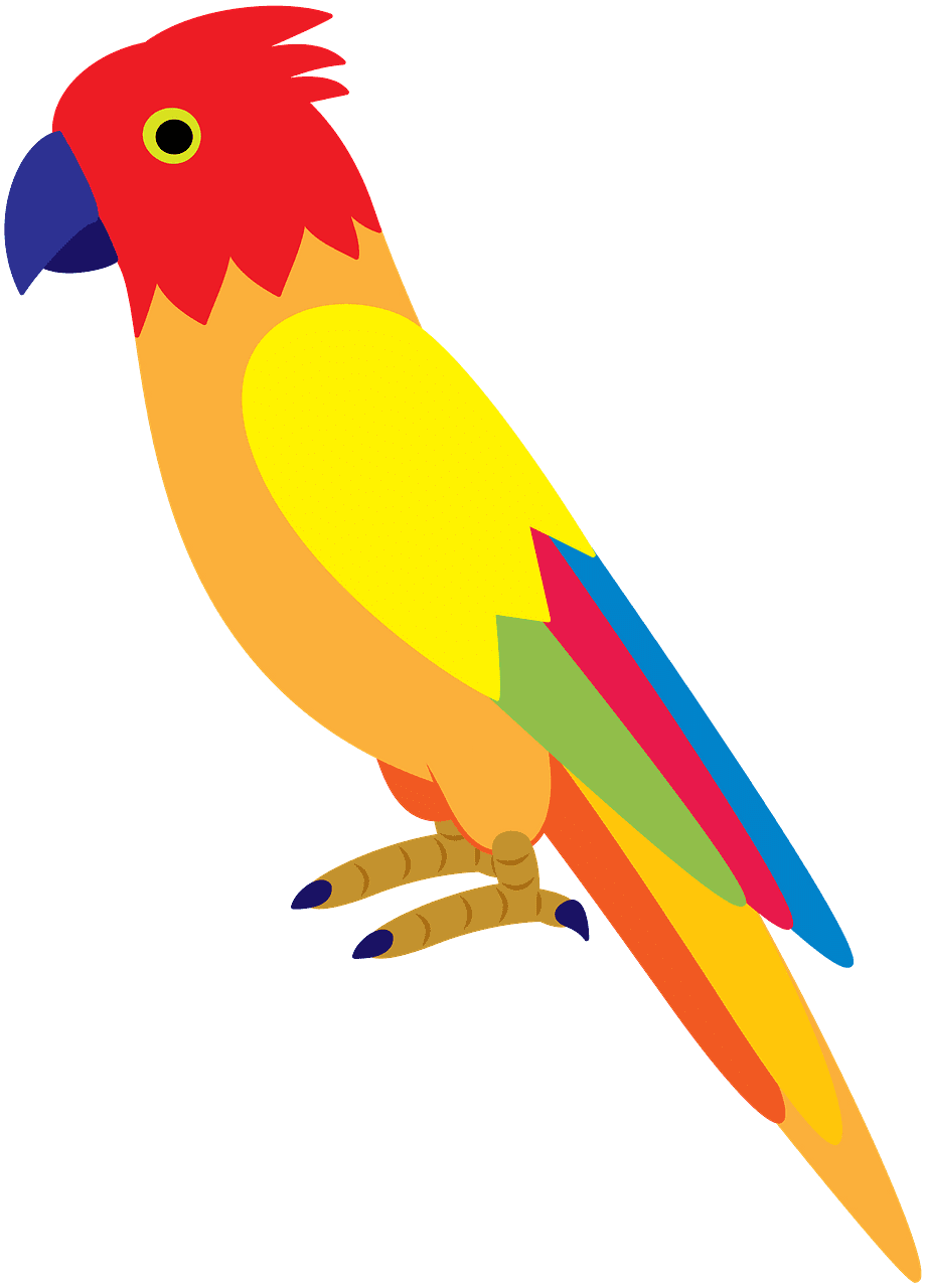 Parrot clipart transparent download