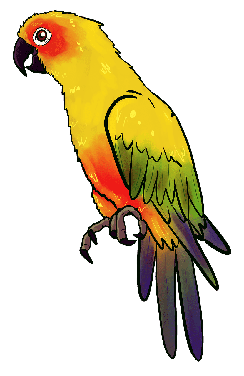 Parrot clipart transparent for kid